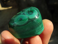 Polished  Flower Banded Malachite Free Forms  x 20 From Congo