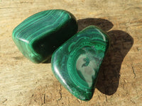 Polished  Flower Banded Malachite Free Forms  x 20 From Congo