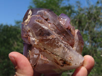 Polished Window Amethyst Specimens x 3 From Akansobe, Madagascar - TopRock