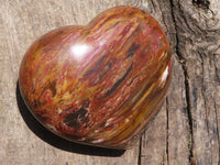 Polished Extra Large Petrified Podocarpus Wood Heart  x 1 From Madagascar - TopRock