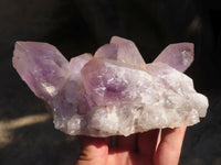 Natural Jacaranda Amethyst Clusters x 2 From Zambia