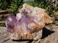 Natural Amethyst Vug Geode Specimen  x 1 From Zambia - TopRock