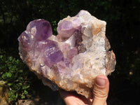 Natural Amethyst Vug Geode Specimen  x 1 From Zambia - TopRock