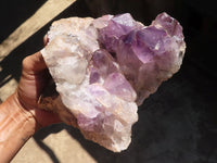 Natural Amethyst Vug Geode Specimen  x 1 From Zambia - TopRock