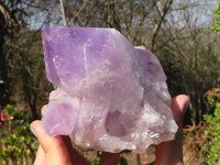 Natural Jacaranda Amethyst Clusters x 2 From Zambia