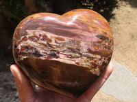 Polished Extra Large Petrified Podocarpus Wood Heart  x 1 From Madagascar - TopRock