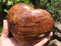 Polished Extra Large Petrified Podocarpus Wood Heart  x 1 From Madagascar - TopRock