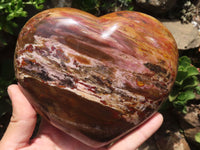 Polished Extra Large Petrified Podocarpus Wood Heart  x 1 From Madagascar - TopRock