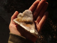 Natural Drusy Coated Spirit Cactus Flower Quartz Formations x 6 From Boekenhouthoek, South Africa