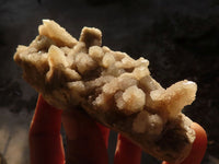 Natural Drusy Coated Spirit Cactus Flower Quartz Formations x 6 From Boekenhouthoek, South Africa