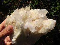 Natural Sugar Quartz Crystal Cluster  x 1 From Ambatofinadrahana, Madagascar - Toprock Gemstones and Minerals 