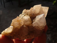 Natural Drusy Coated Spirit Cactus Flower Quartz Formations x 6 From Boekenhouthoek, South Africa