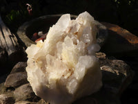 Natural Sugar Quartz Crystal Cluster  x 1 From Ambatofinadrahana, Madagascar - Toprock Gemstones and Minerals 