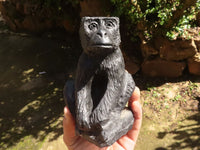 Polished  Black Soap Stone Baboons - Medium - Sold per piece - From Zimbabwe - TopRock