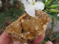 Natural Golden Limonite / Lemonite Quartz Clusters  x 24 From Zambia - Toprock Gemstones and Minerals 