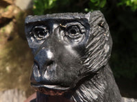 Polished  Black Soap Stone Baboons - Medium - Sold per piece - From Zimbabwe - TopRock