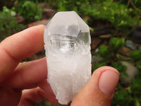 Natural Single Clear Quartz Crystals  x 35 From Mpika, Zambia - Toprock Gemstones and Minerals 