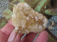 Natural Golden Limonite / Lemonite Quartz Clusters  x 24 From Zambia - Toprock Gemstones and Minerals 