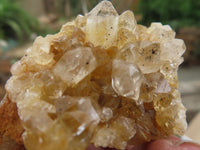 Natural Golden Limonite / Lemonite Quartz Clusters  x 24 From Zambia - Toprock Gemstones and Minerals 