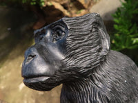 Polished  Black Soap Stone Baboons - Medium - Sold per piece - From Zimbabwe - TopRock