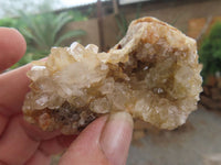 Natural Golden Limonite / Lemonite Quartz Clusters  x 24 From Zambia - Toprock Gemstones and Minerals 