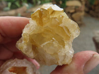 Natural Golden Limonite / Lemonite Quartz Clusters  x 24 From Zambia - Toprock Gemstones and Minerals 