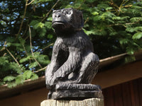 Polished  Black Soap Stone Baboons - Medium - Sold per piece - From Zimbabwe - TopRock