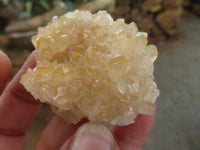 Natural Golden Limonite / Lemonite Quartz Clusters  x 24 From Zambia - Toprock Gemstones and Minerals 