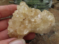 Natural Golden Limonite / Lemonite Quartz Clusters  x 24 From Zambia - Toprock Gemstones and Minerals 