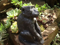 Polished  Black Soap Stone Baboons - Medium - Sold per piece - From Zimbabwe - TopRock