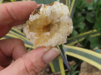 Natural Golden Limonite / Lemonite Quartz Clusters  x 24 From Zambia - Toprock Gemstones and Minerals 