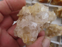 Natural Golden Limonite / Lemonite Quartz Clusters  x 24 From Zambia - Toprock Gemstones and Minerals 