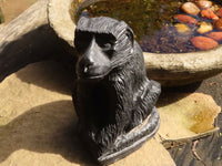 Polished  Black Soap Stone Baboons - Medium - Sold per piece - From Zimbabwe - TopRock