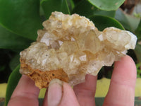 Natural Golden Limonite / Lemonite Quartz Clusters  x 24 From Zambia - Toprock Gemstones and Minerals 