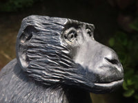 Polished  Black Soap Stone Baboons - Medium - Sold per piece - From Zimbabwe - TopRock