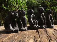 Polished  Black Soap Stone Baboons - Small - Sold per piece - From Zimbabwe - TopRock