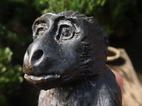 Polished  Black Soap Stone Baboons - Small - Sold per piece - From Zimbabwe - TopRock