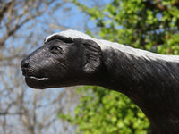 Polished  Large Black Soapstone Honey Badger Carving x 1 From Zimbabwe