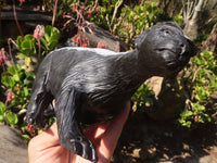 Polished  Large Black Soapstone Honey Badger Carving x 1 From Zimbabwe