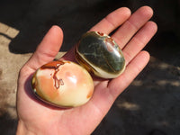 Polished  Polychrome / Picasso Jasper Palm Stones  x 12 From Mahajanga, Madagascar