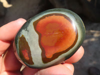 Polished  Polychrome / Picasso Jasper Palm Stones  x 12 From Mahajanga, Madagascar