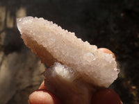 Natural Long Fingered Spirit Quartz Crystals x 35 From Boekenhouthoek, South Africa