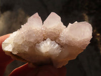 Natural Long Fingered Spirit Quartz Crystals x 35 From Boekenhouthoek, South Africa