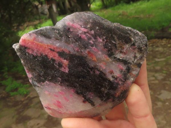 Polished One Side Polished Rhodonite Free Forms  x 5 From Madagascar - TopRock