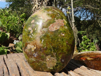 Polished Large Green Opal Standing Free Form  x 1 From Madagascar - Toprock Gemstones and Minerals 