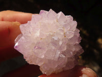 Natural Long Fingered Spirit Quartz Crystals x 35 From Boekenhouthoek, South Africa