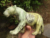 Polished  Leopard Stone Lioness - Medium - Sold per piece - From Zimbabwe - TopRock