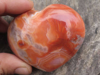 Polished Beautiful Carnelian Agate Hearts  x 6 From Madagascar - TopRock