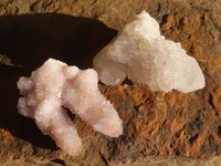 Natural Long Fingered Spirit Quartz Crystals x 35 From Boekenhouthoek, South Africa