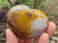 Polished Beautiful Carnelian Agate Hearts  x 6 From Madagascar - TopRock